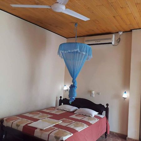 Guesthouse Sunshine アボッターバード エクステリア 写真